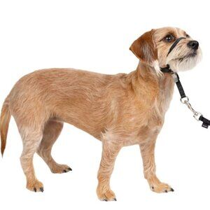 PetSafe Gentle Leader Headcollar - Black - Small Up to 25 lbs (E)